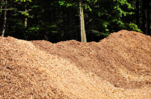 Biobränsle som tex ved, flis och pellets är en s k förnyelsebar energikälla, en ren naturprodukt som ingår i naturens kretslopp. Sett till bränslepriset är flis oftast det billigaste bränslet att elda, och då många större skogsägare har tillgång till flis som en restprodukt så blir detta en oslagbar lösning rent ekonomiskt.